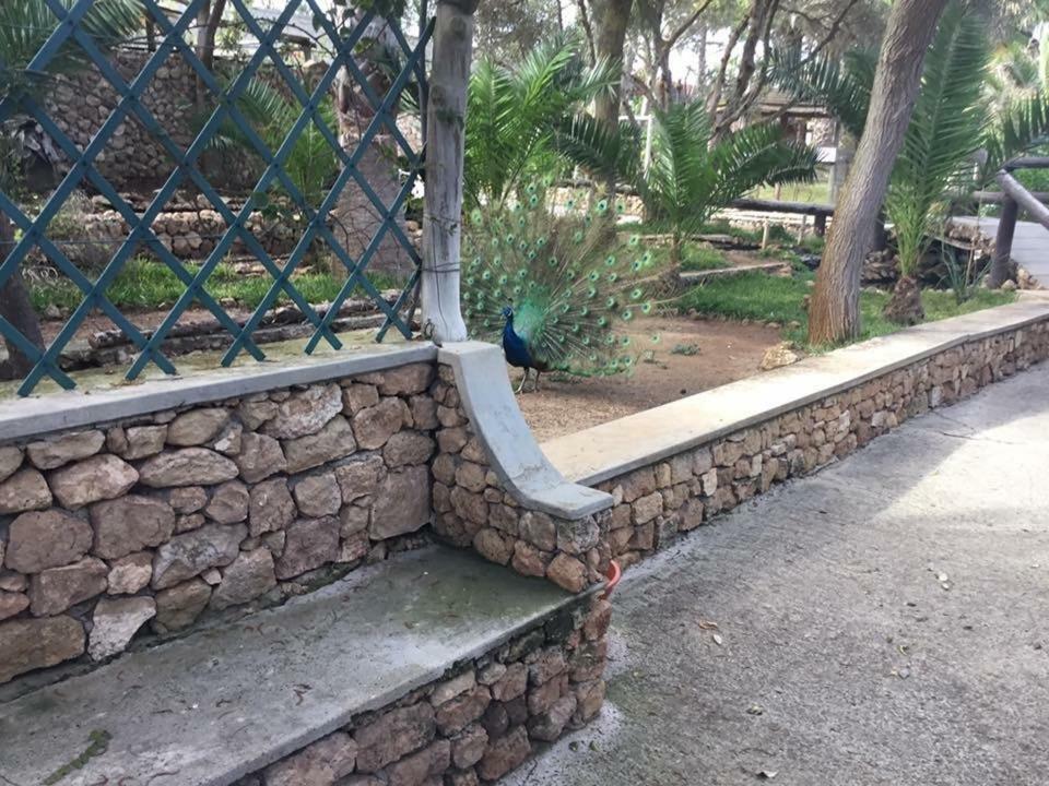 16 Porto Santo Apartments Buitenkant foto